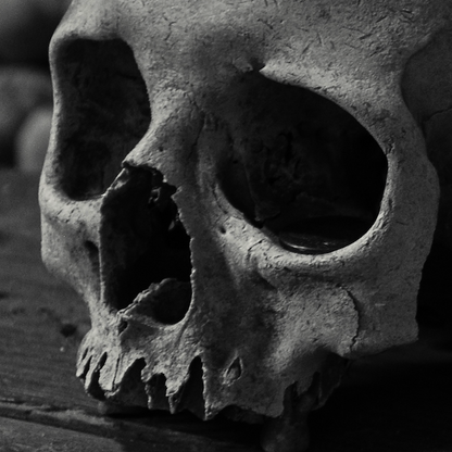Skull in the Paris Catacombs - Anonymous Fine Art Photography Print (unframed)