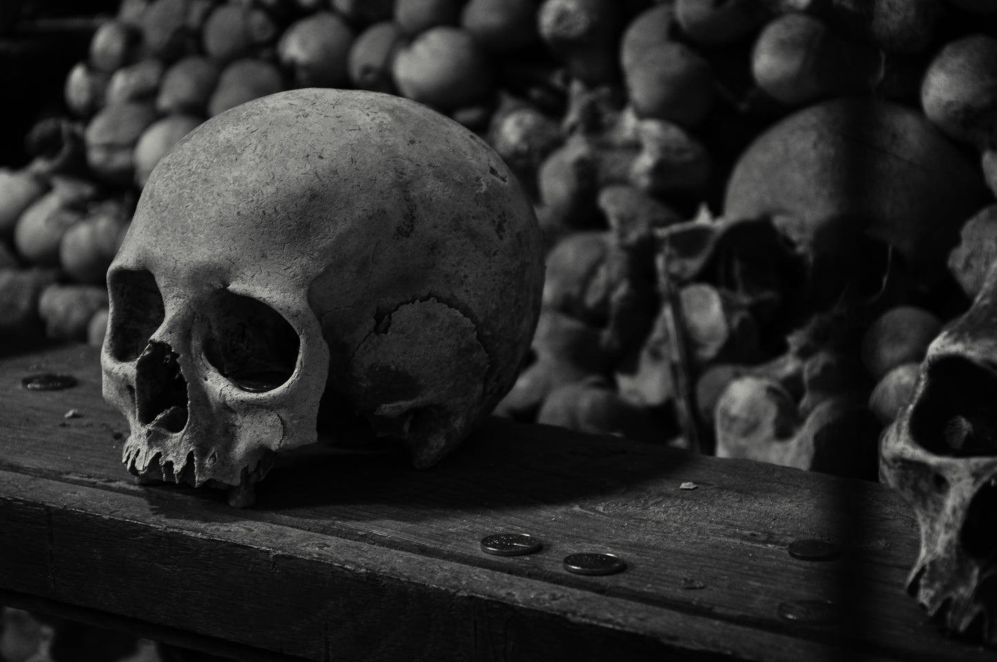 Skull in the Paris Catacombs - Anonymous Fine Art Photography Print (unframed)