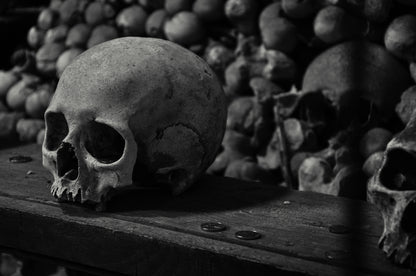 Skull in the Paris Catacombs - Anonymous Fine Art Photography Print (unframed)